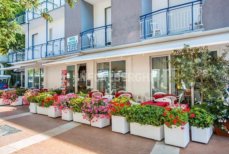 B&B Hotel Lucciola Каттоліка Екстер'єр фото